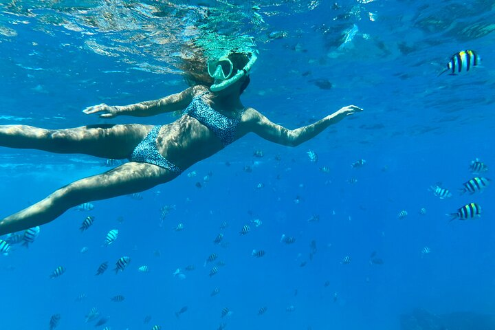 Hawaiian Culture & Snorkel Adventure with Photo/Videos - Photo 1 of 7